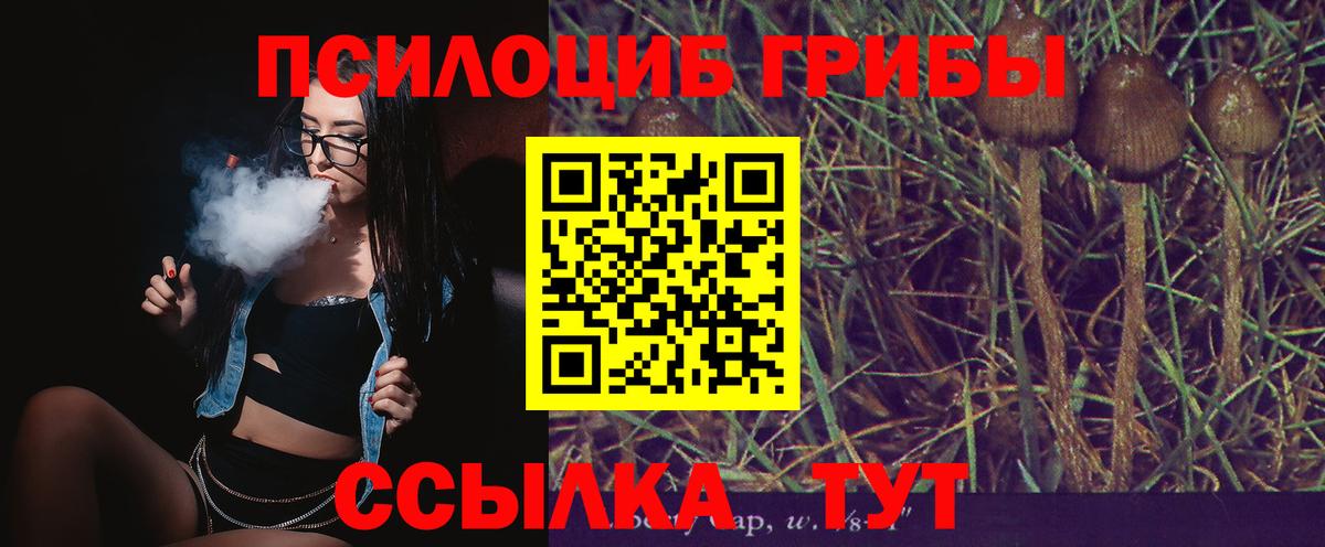 Казань  Галлюциногенные грибы MAGIC MUSHROOMS  Псилоцибиновые грибы MAGIC MUSHROOMS  Вход с VPN 